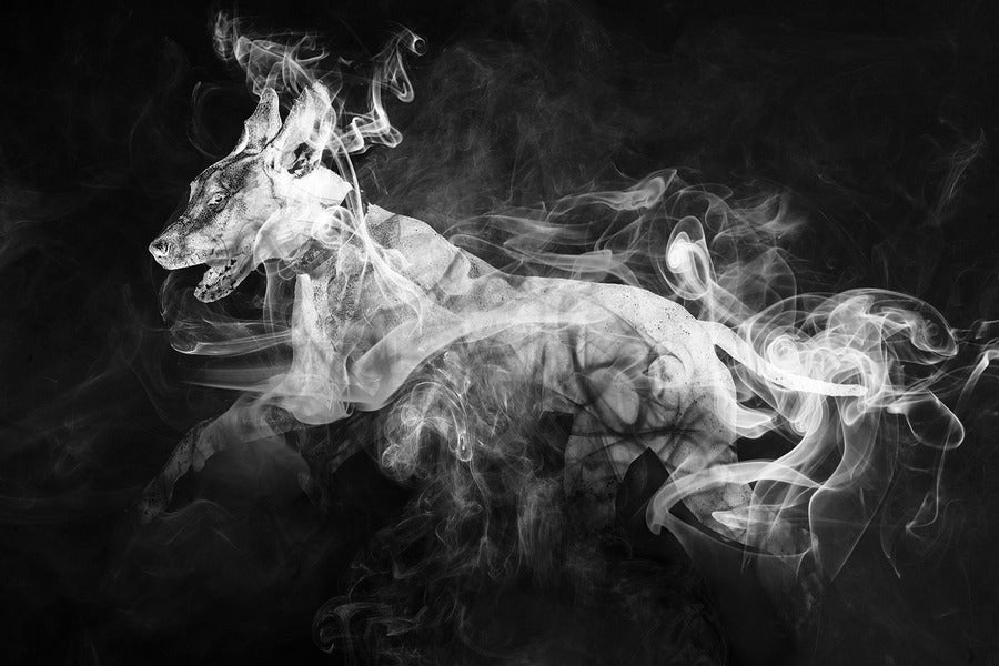 Abstract Dog White Smoke Design Print 100% Australian Made