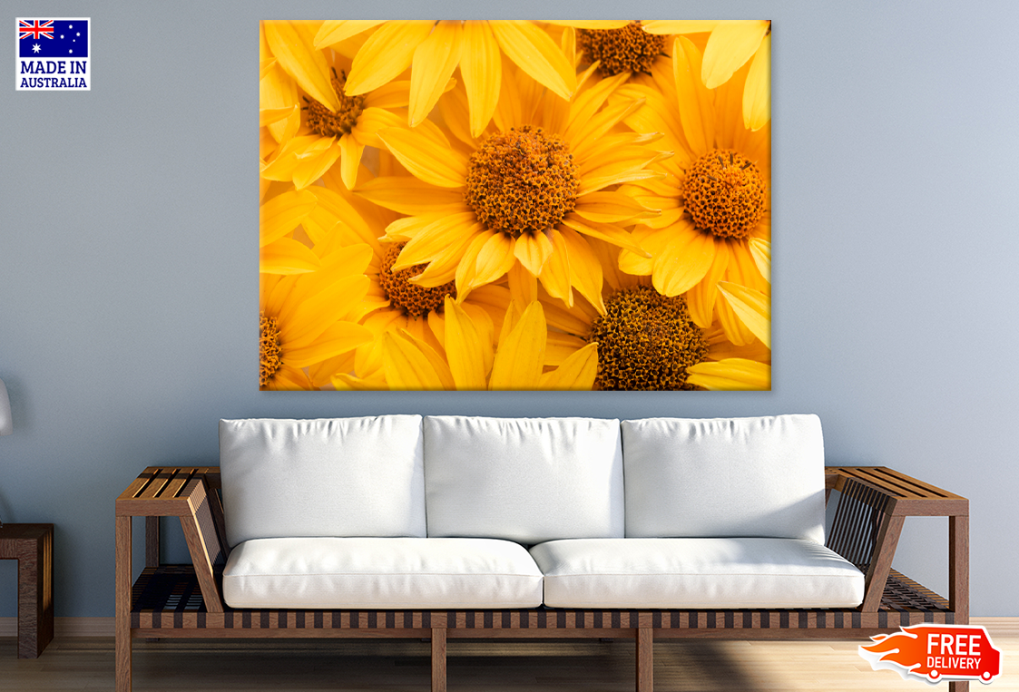 Sunflowes Closeup Photograph Print 100% Australian Made