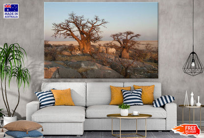 Baobab Tree & Rocks Photograph Print 100% Australian Made