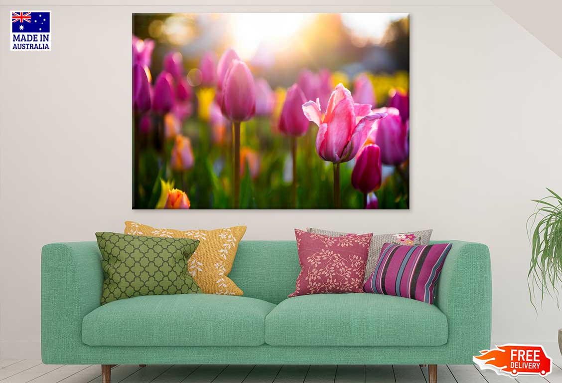 Pink Tulip Flower Sunset View Photograph Print 100% Australian Made