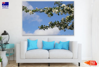 Cherry Blossom Tree Branch View Photograph Print 100% Australian Made