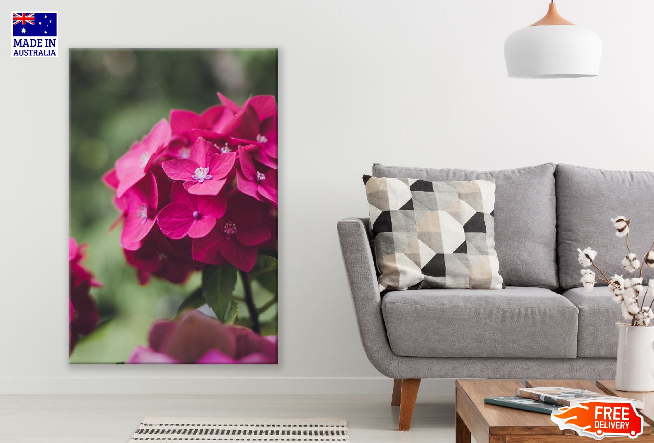 Red Hortensia Flowers Closeup Photograph Print 100% Australian Made