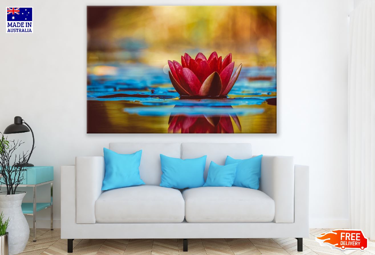Red Water Lily Flower Floting on Water Photograph Print 100% Australian Made