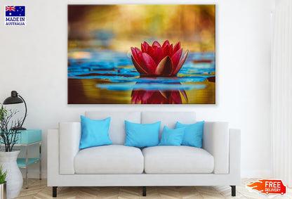 Red Water Lily Flower Floting on Water Photograph Print 100% Australian Made