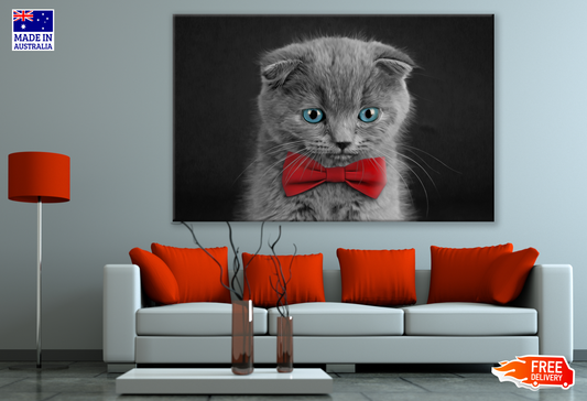 Blue Eye Cute Kitten Wearing a Red Bow Print 100% Australian Made