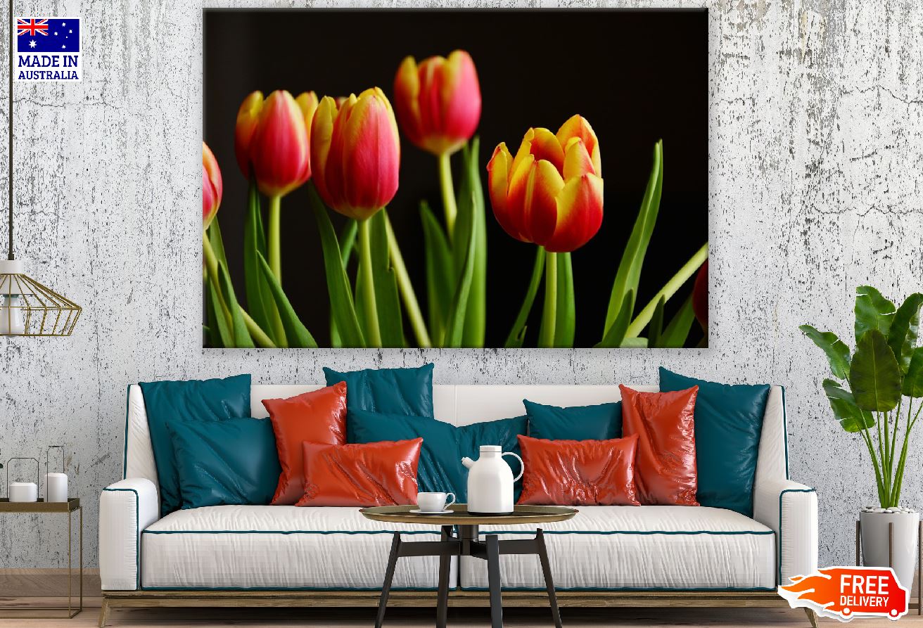 Red Yellow Tulip Flowers With Leaves Photograph Print 100% Australian Made
