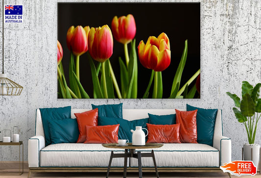 Red Yellow Tulip Flowers With Leaves Photograph Print 100% Australian Made