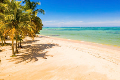 Empty Paradise Sea & Palm Trees Photograph Print 100% Australian Made