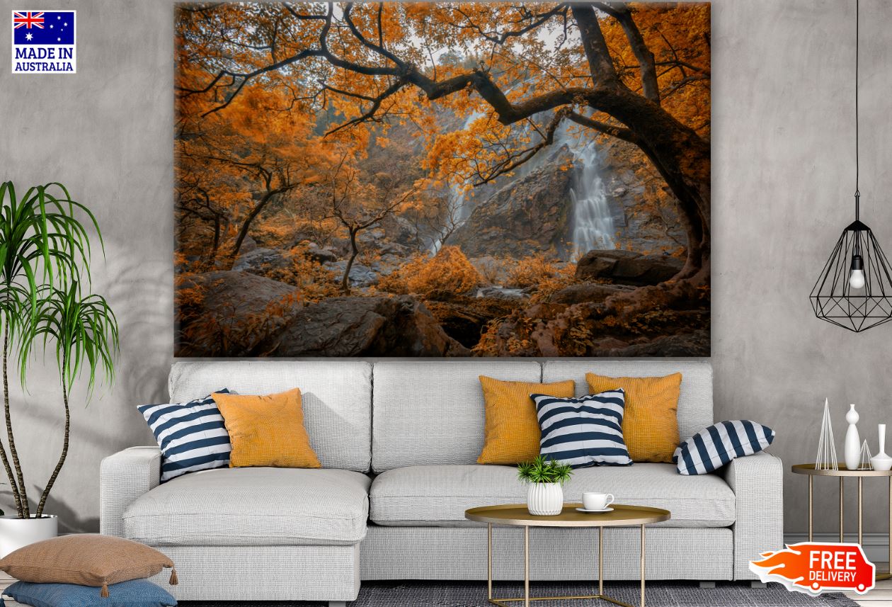 Autumn Tree Forest Photograph Print 100% Australian Made