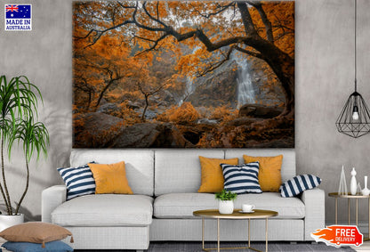 Autumn Tree Forest Photograph Print 100% Australian Made