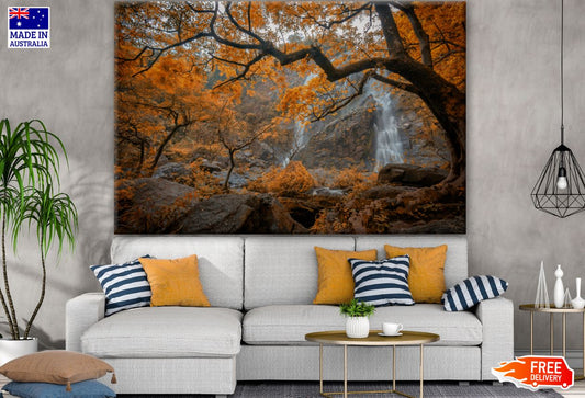 Autumn Tree Forest Photograph Print 100% Australian Made