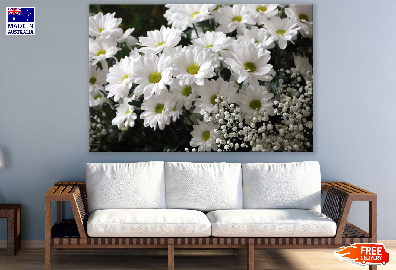 White Daisy Flowers Photograph Print 100% Australian Made