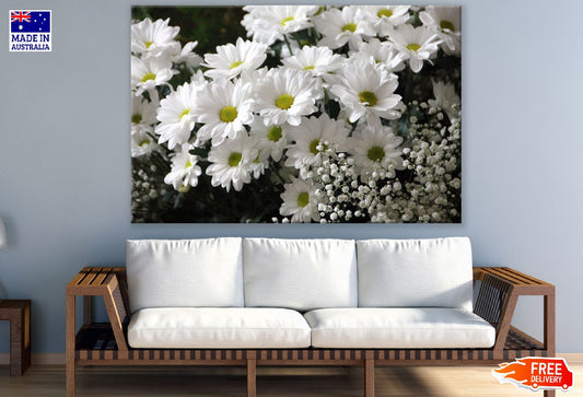 White Daisy Flowers Photograph Print 100% Australian Made