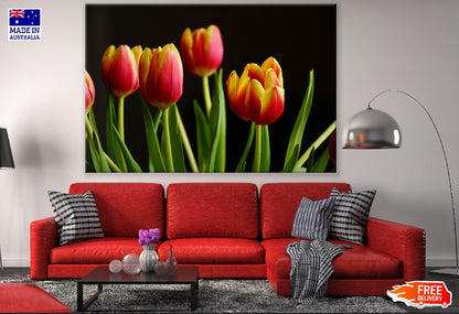 Red Yellow Tulip Flowers With Leaves Photograph Print 100% Australian Made