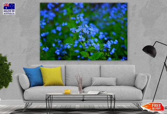 Perennial Little Blue Flowers Photograph Print 100% Australian Made