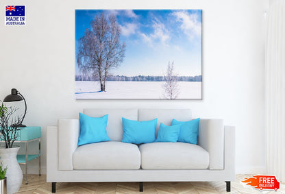 Leafless Tree Covered with Snow Photograph Print 100% Australian Made