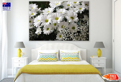 White Daisy Flowers Photograph Print 100% Australian Made