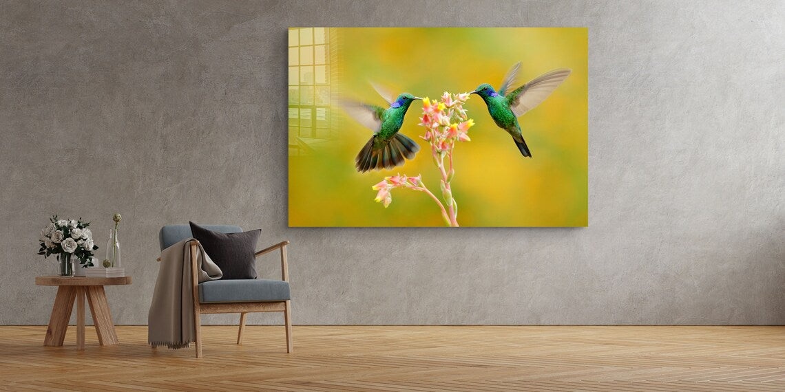 Hummingbirds & Flower Print Tempered Glass Wall Art 100% Made in Australia Ready to Hang