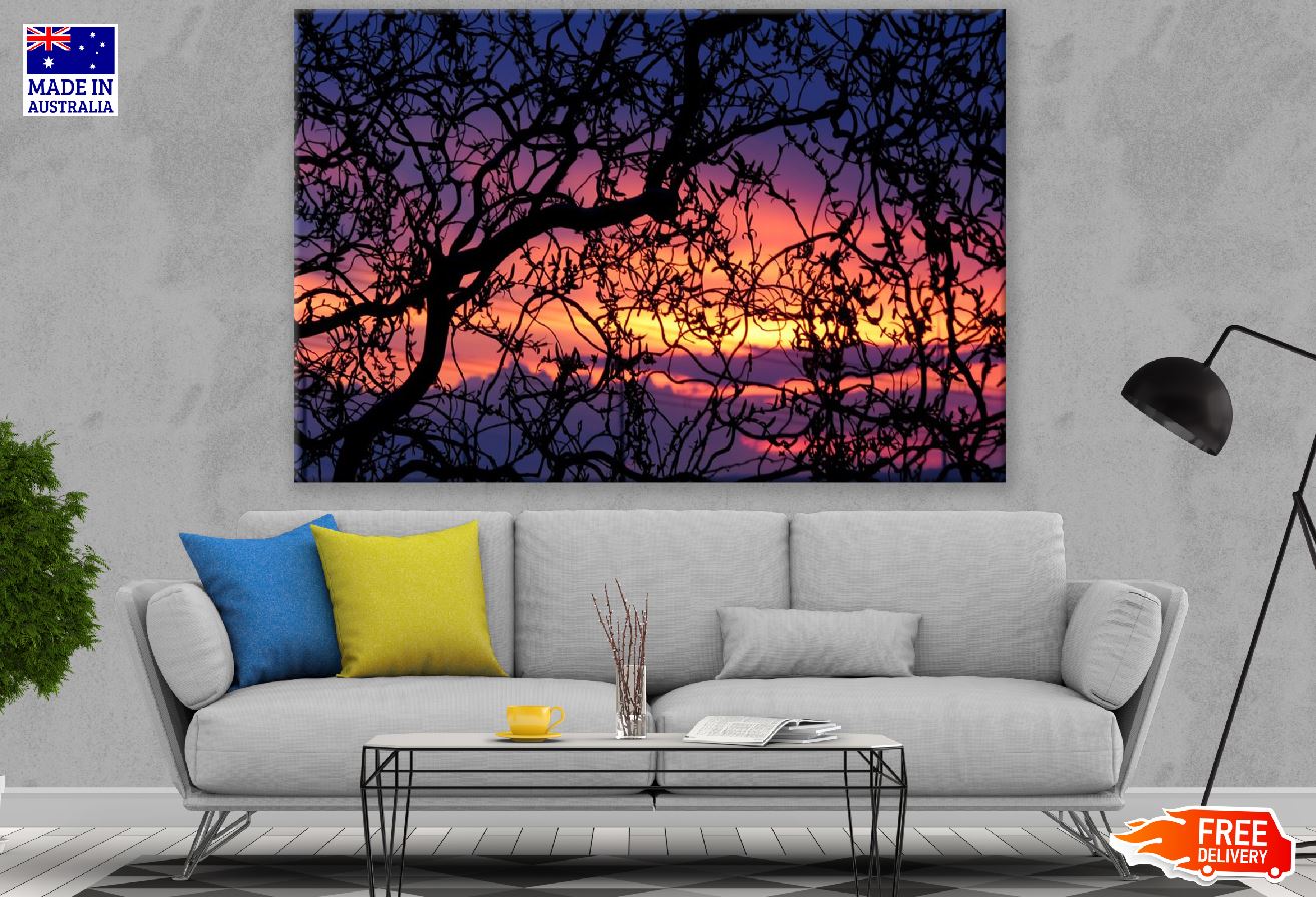 Dead Tree Branches Sunset Photograph Print 100% Australian Made