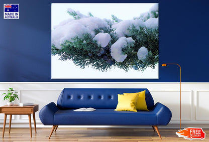 Pine Tree Covered With Snow Closeup Photograph Print 100% Australian Made