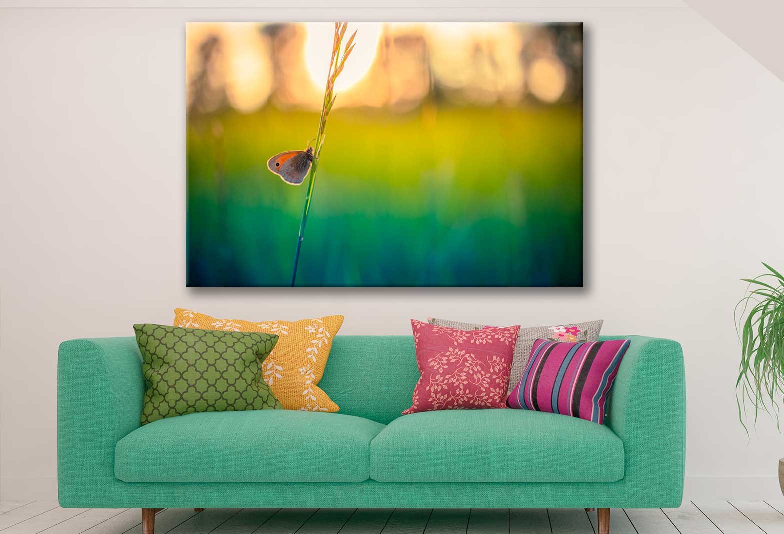 Bella Home Butterfly in a Grass Close View Print Canvas Ready to hang