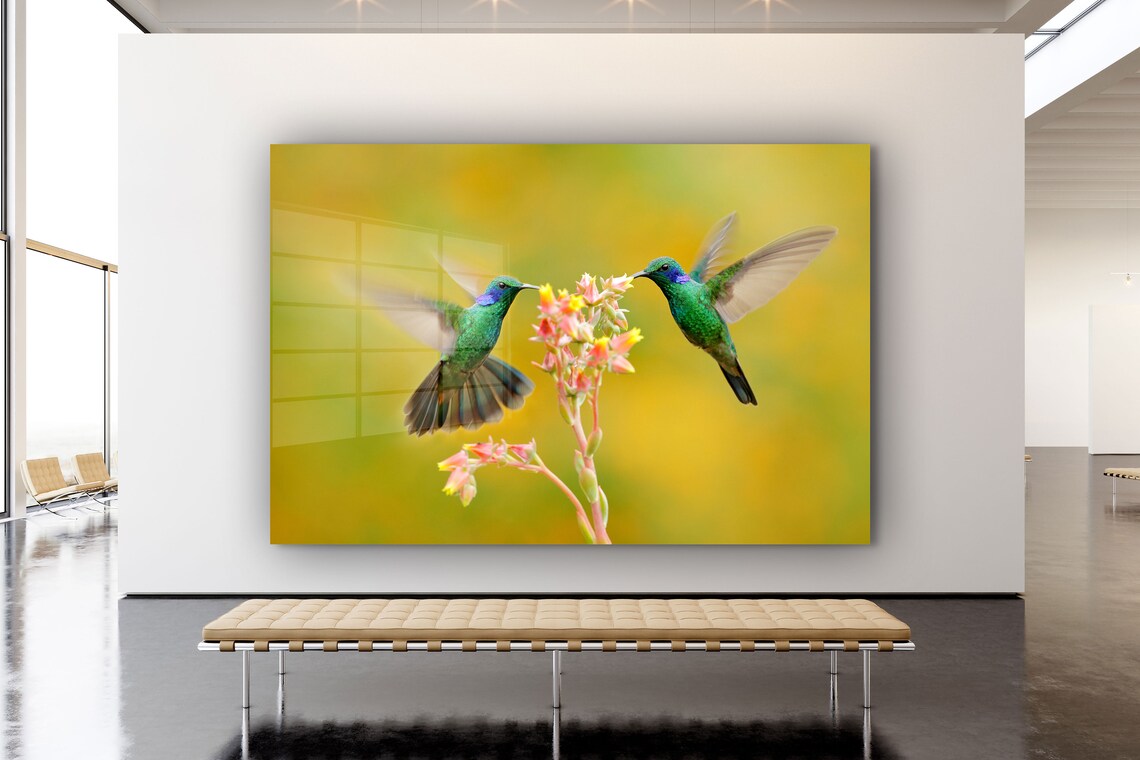 Hummingbirds & Flower Print Tempered Glass Wall Art 100% Made in Australia Ready to Hang