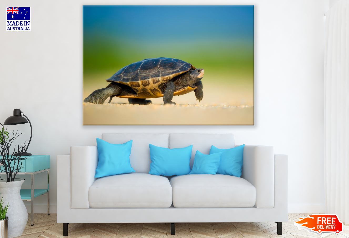 Tortles on Shore Closeup Photograph Print 100% Australian Made