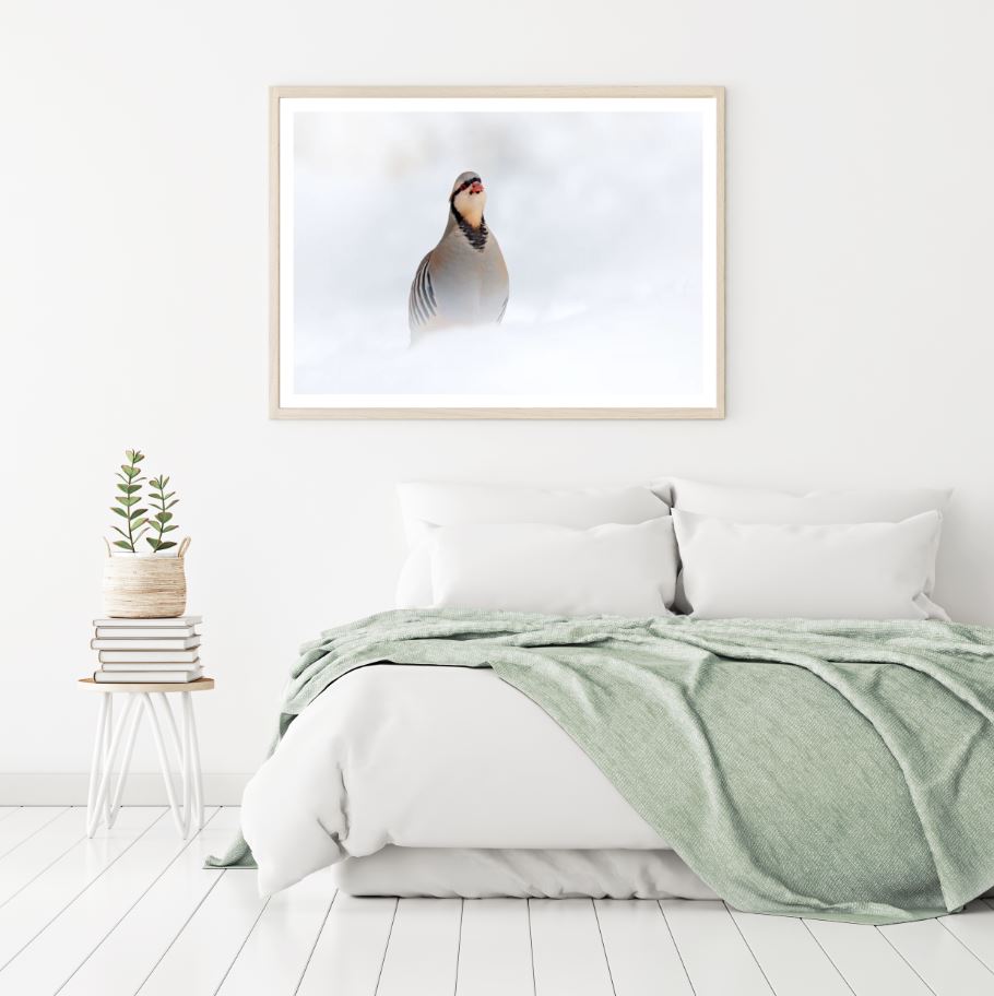 Small Bird On Snow Photograph Home Decor Premium Quality Poster Print Choose Your Sizes