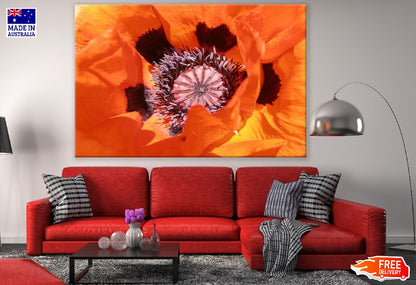 Red Poppy Flower Macro Photograph Print 100% Australian Made