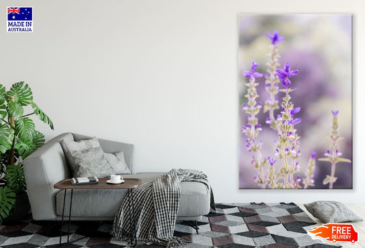 Purple Laverder Flower Closeup Photograph Print 100% Australian Made