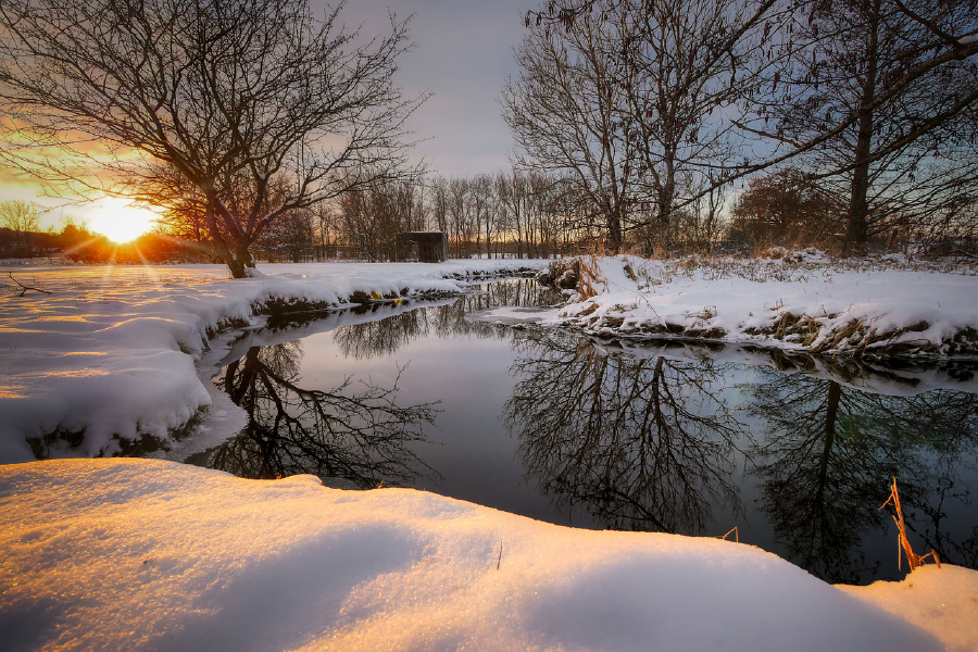 Canal & Trees with Snow Photograph Print 100% Australian Made