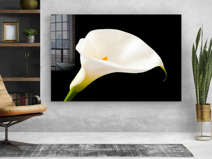 White Lily on Dark View Print Tempered Glass Wall Art 100% Made in Australia Ready to Hang