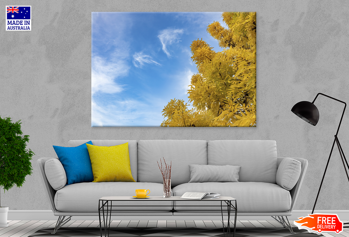 Autumn Trees & Cloudy Sky View Photograph Print 100% Australian Made