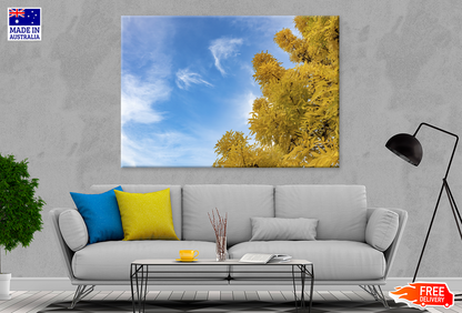 Autumn Trees & Cloudy Sky View Photograph Print 100% Australian Made