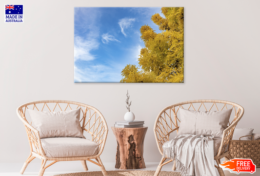 Autumn Trees & Cloudy Sky View Photograph Print 100% Australian Made