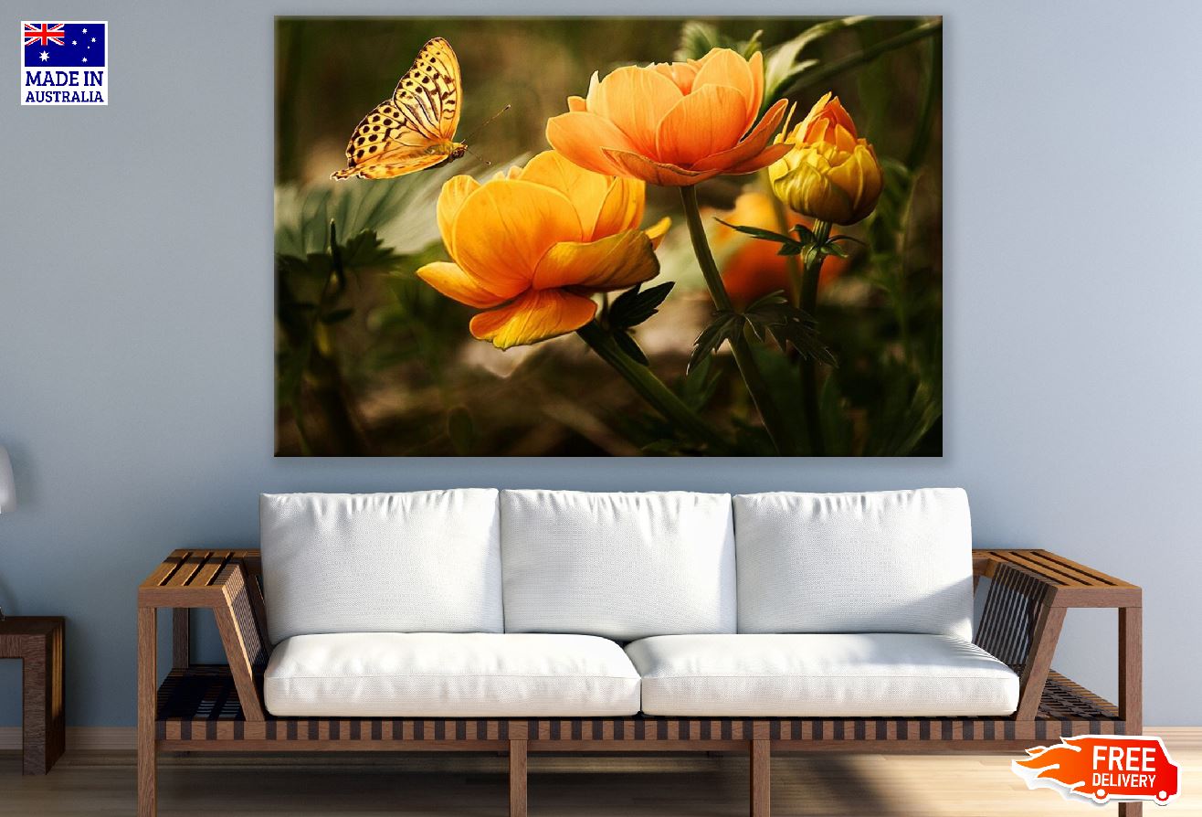 Orange Flowers With Butterfly Photograph Print 100% Australian Made