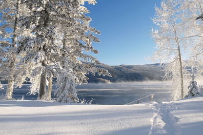 Snow Covered Trees Photograph Print 100% Australian Made