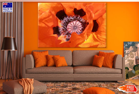 Red Poppy Flower Macro Photograph Print 100% Australian Made