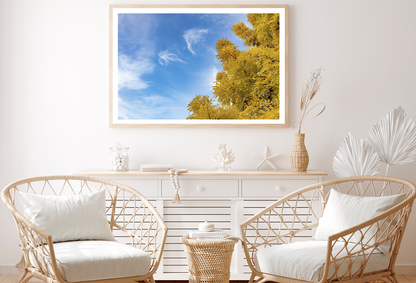 Autumn Trees & Cloudy Sky View Photograph Home Decor Premium Quality Poster Print Choose Your Sizes