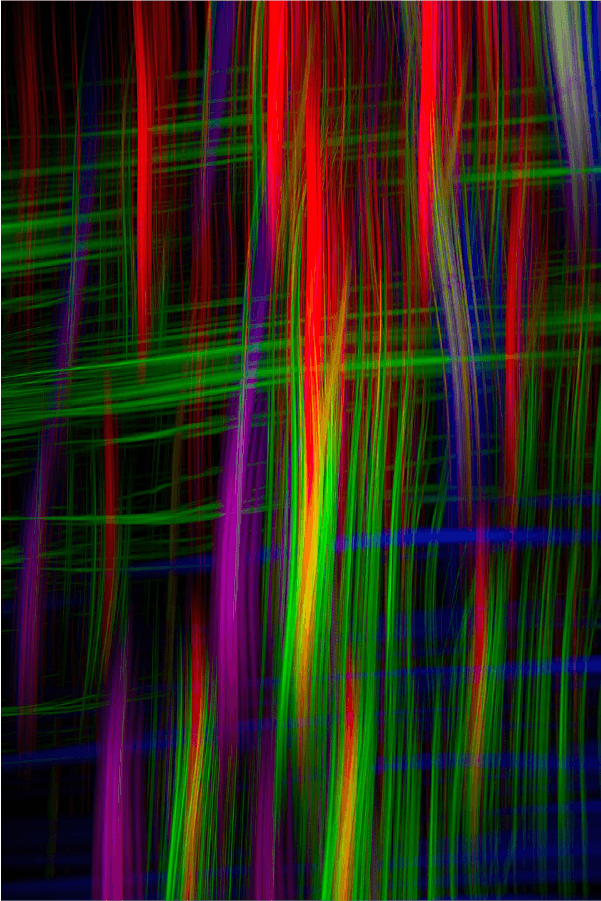 Colorful Abstract Design Print 100% Australian Made