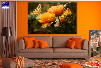 Orange Flowers With Butterfly Photograph Print 100% Australian Made