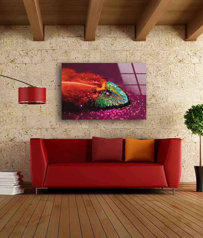 Waterdrop on Feather Photograph Acrylic Glass Print Tempered Glass Wall Art 100% Made in Australia Ready to Hang