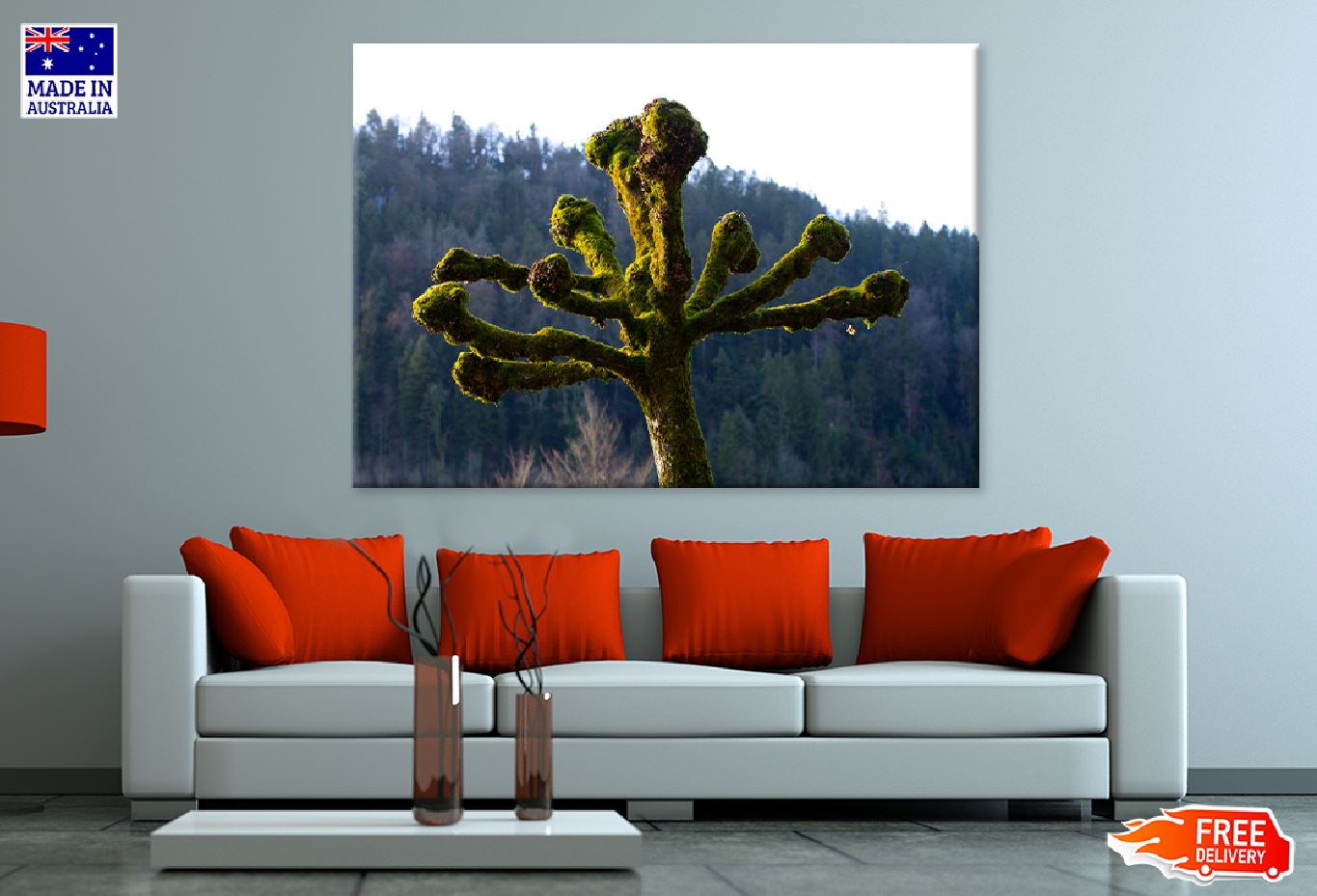 Mossy Tree with Branches View Photograph Print 100% Australian Made