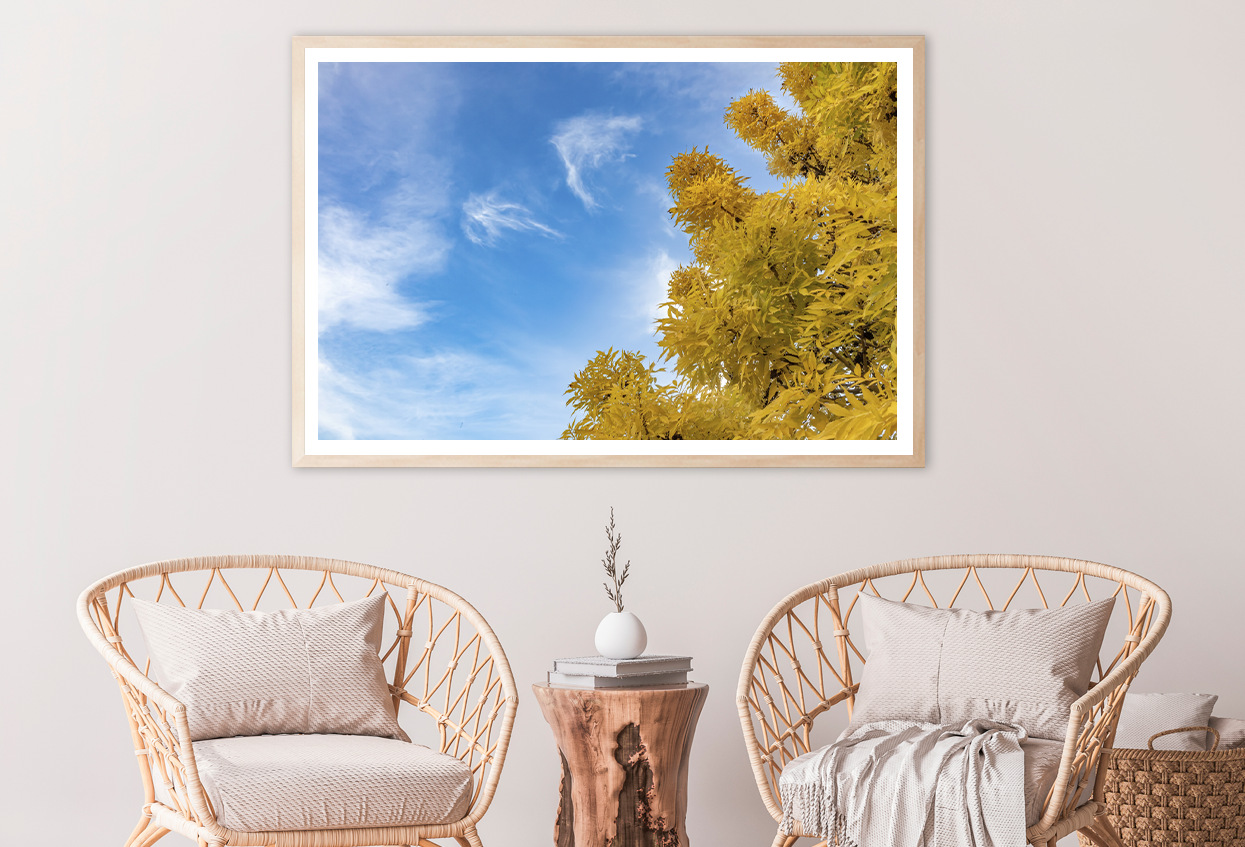 Autumn Trees & Cloudy Sky View Photograph Home Decor Premium Quality Poster Print Choose Your Sizes