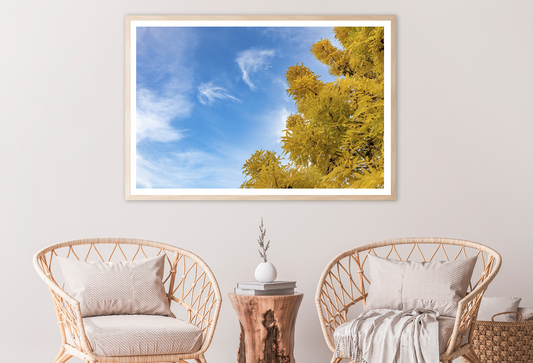 Autumn Trees & Cloudy Sky View Photograph Home Decor Premium Quality Poster Print Choose Your Sizes