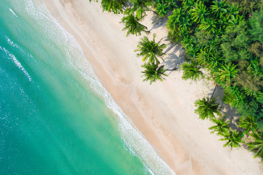 Blue Sea with Palm Trees Aerial View Photograph Print 100% Australian Made