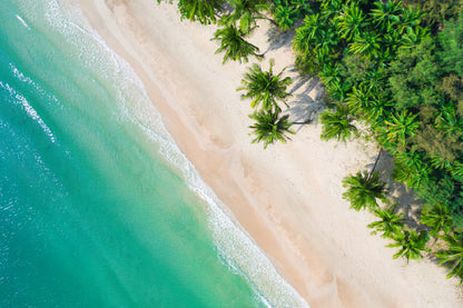 Blue Sea with Palm Trees Aerial View Photograph Print 100% Australian Made