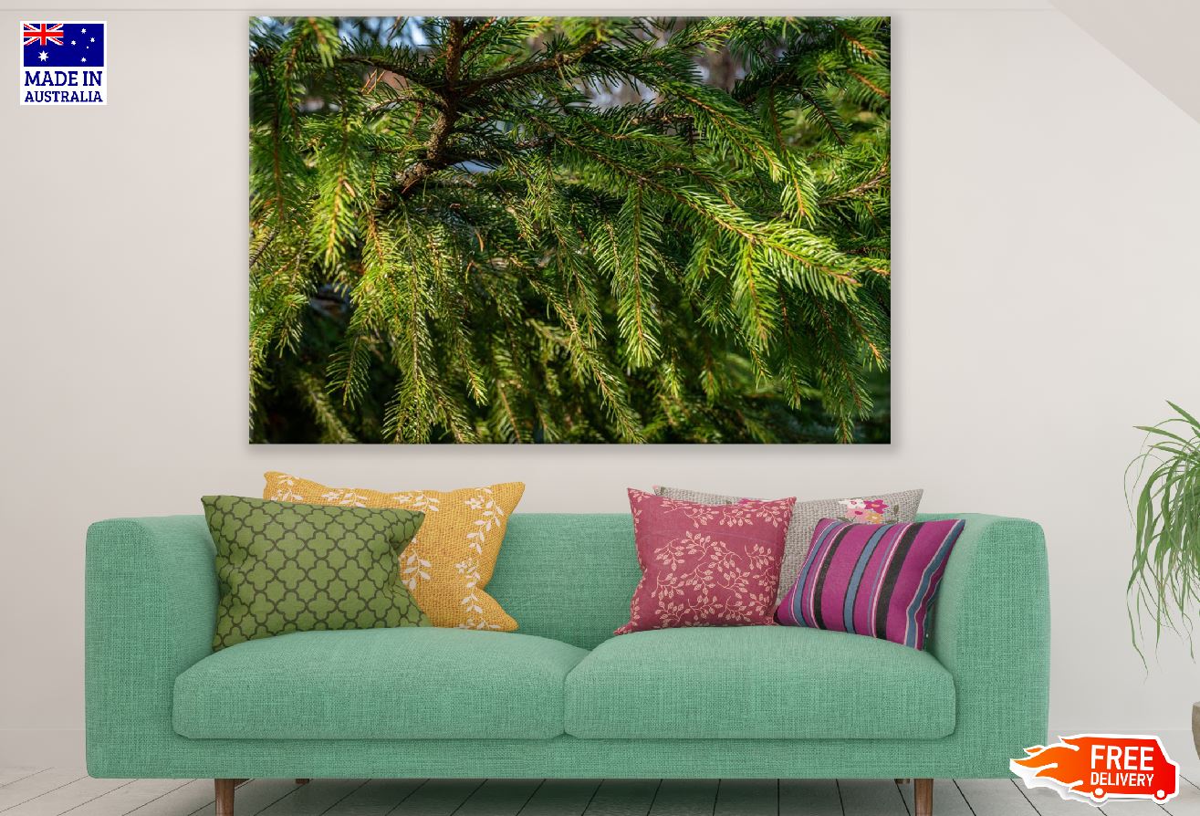 Christmas Tree Branch View Photograph Print 100% Australian Made