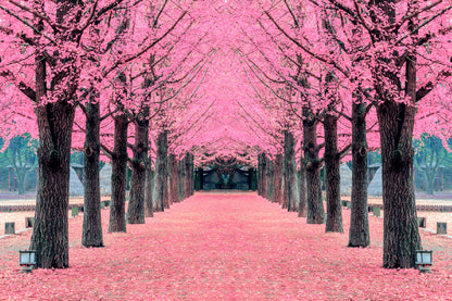 Pink Trees Photograph Nami Island Korea Print 100% Australian Made