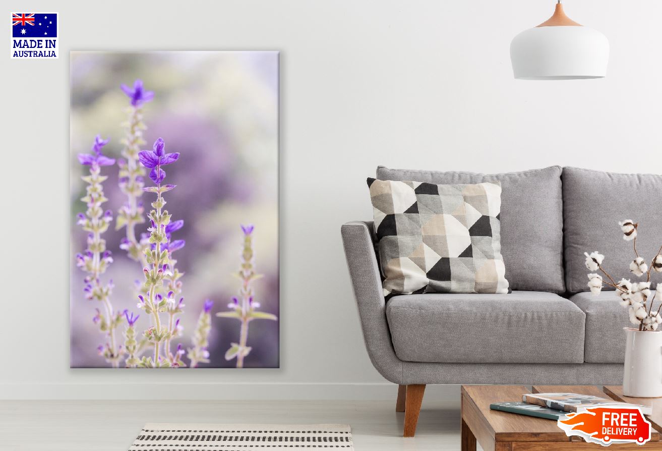 Purple Laverder Flower Closeup Photograph Print 100% Australian Made